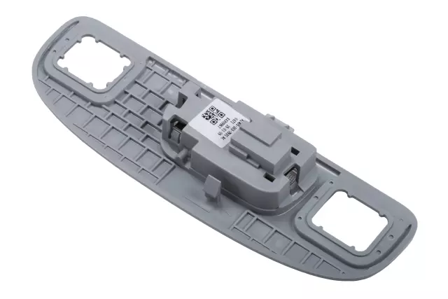 Very Light Galvanized Cool Driver Side Courtesy Light - GM (84309967)