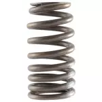 CJ5Z6513A - Engine: Valve Springs for Ford: C-Max, Edge, Escape, Explorer, Focus, Fusion, Maverick, Mustang, Police Responder Hybrid, Special Service Police Sedan, SSV Plug-In Hybrid, Taurus, Transit Connect | Lincoln: Corsair, MKC, MKT, MKZ Image