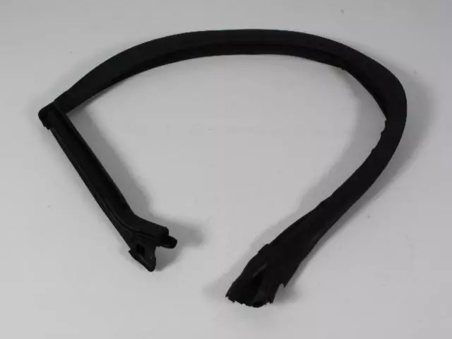 4575891AK - : Front Door Glass Run, Left for Dodge: Challenger Image