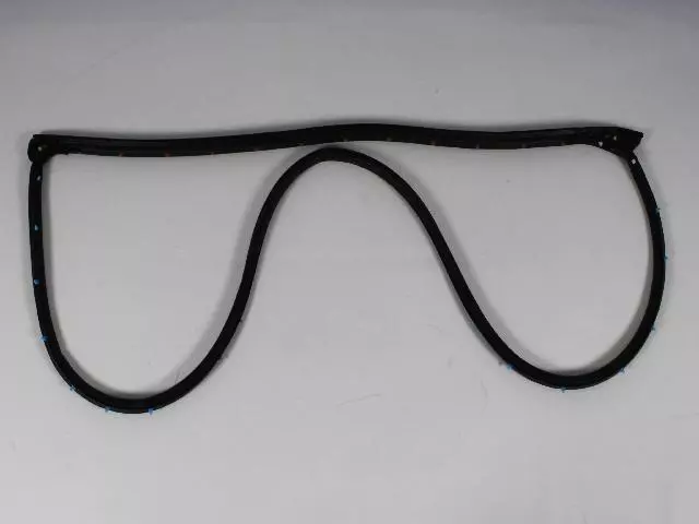 Door Weather-Strip - Mopar (05008842AD)