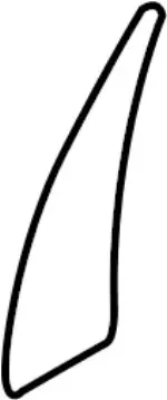 78816AM800 - : Stone Guard for INFINITI: G35 Image