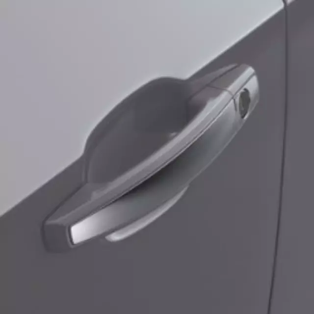 Door Handles - GM (22850085)