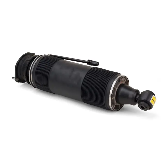 SK2484 - : Arnott Suspension Strut for Arnott Image