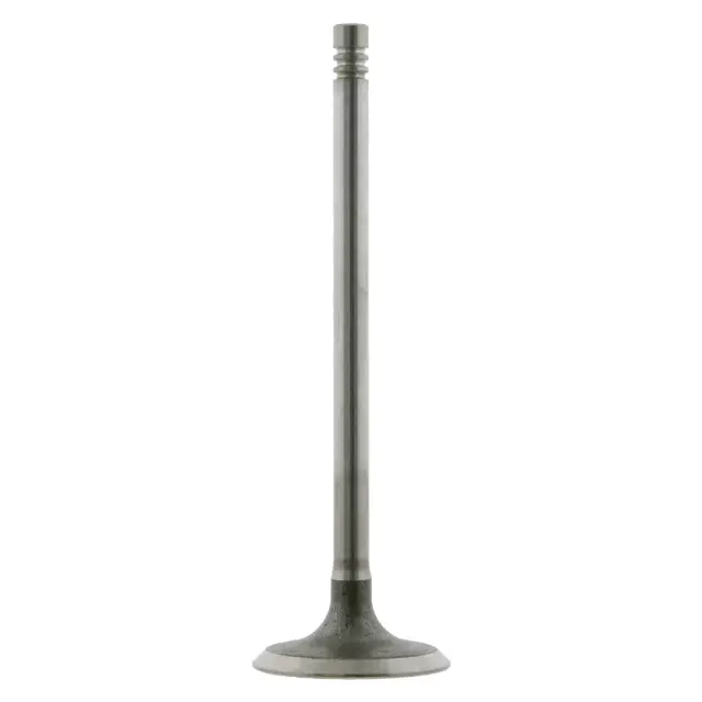 24160 - Engines &amp; Components: Febi 24160 Engine Intake Valve for FEBI RUBBER CO Image