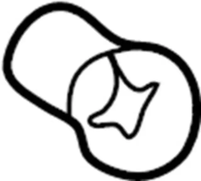 Tail Lamp Bulb - Infiniti (26717-98905)