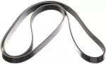 117205CA0B - : Serpentine Belt for Nissan Image