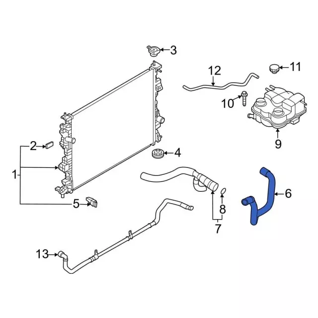 Hose Radiator - Ford (LX6Z-8286-AG)