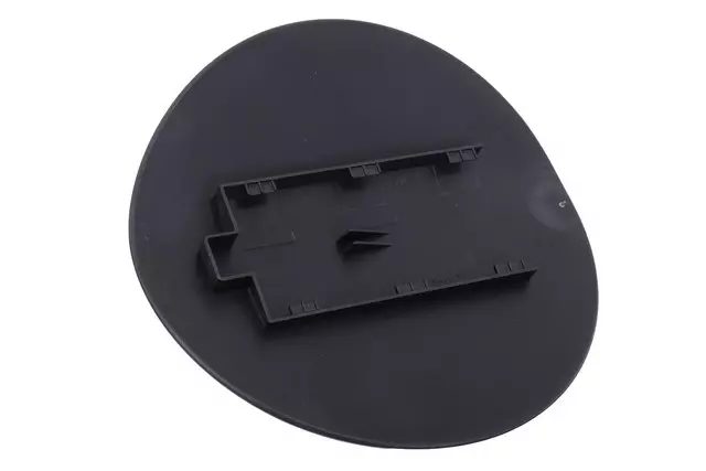 26205008 - Body: Fuel Door for Buick: LaCrosse Image