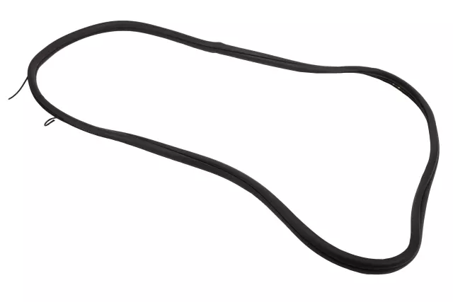 Front Side Door Body Side Weatherstrip - GM (84710502)