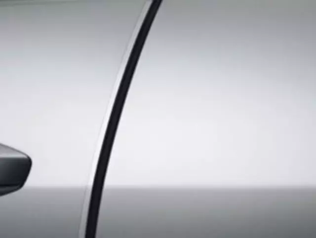 8P20TM8100 - : 2010-2014 Honda Insight - Door Edge Film for Honda: Insight Image