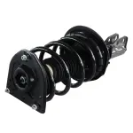 810117 - : Suspension Strut and Coil Spring Assembly for GSP Image