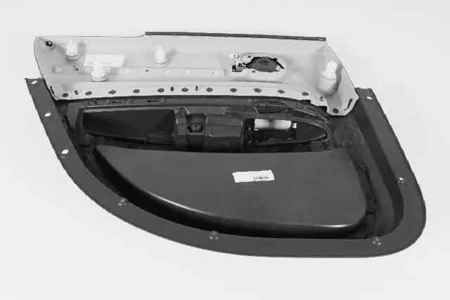 Rear Door Trim Panel, Right - Mopar (1LF441DBAA)