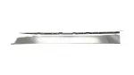 757310E904 - : Door Molding for Toyota Image
