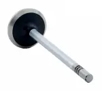 V3005 - : Engine Exhaust Valve for Enginetech Image