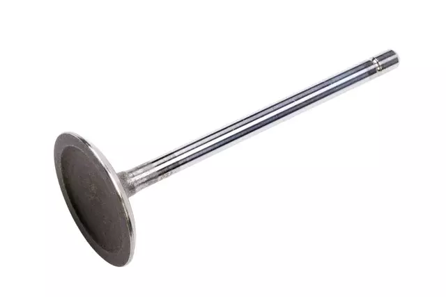 12584763 - Engine: Intake Valve for Chevrolet: Malibu | Pontiac: G8 | Saturn: Vue Image