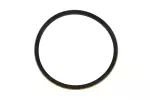 24293581 - Transmission: 4-5-6-7-8 Reverse Clutch Piston Seal for ACDelco Image