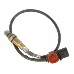 DY1328 - : Motorcraft™ Oxygen Sensor for Ford: Expedition, F-150, Focus | Lincoln: Navigator Image