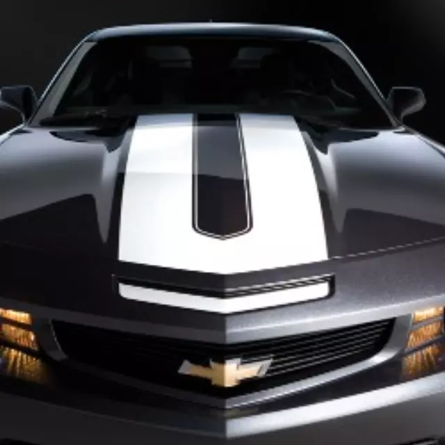 Decal/Stripe Package, Synergy Stripes - GM (20968494)