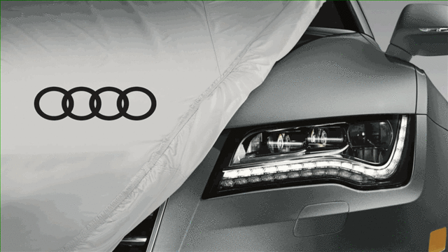 Outdoor Car Cover - Audi (ZAW-061-205-AR)