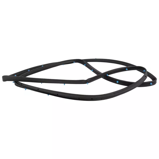 FT4Z5820530A - Body: Door Weather-strip for Ford: Edge Image