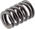 VS2259 - : Stock Replacement Valve Spring for Melling Image