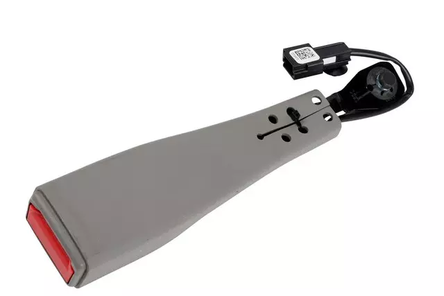 Titanium Passenger Seat Belt with Buckle - GM (19300619)
