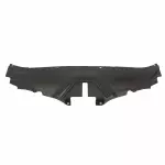 DP5Z16A238A - Body: Sight Shield for Lincoln: MKZ Image