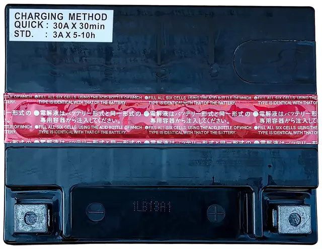 Vehicle Battery - ACDelco (ACTX30LBSA)