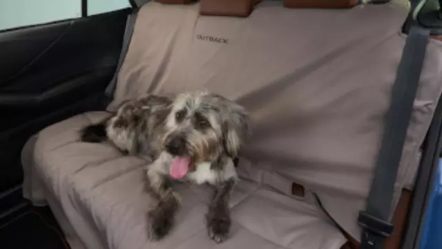 F411SSJ000 - Interior: Pet Friendly Padded Seat for Subaru: Forester Image