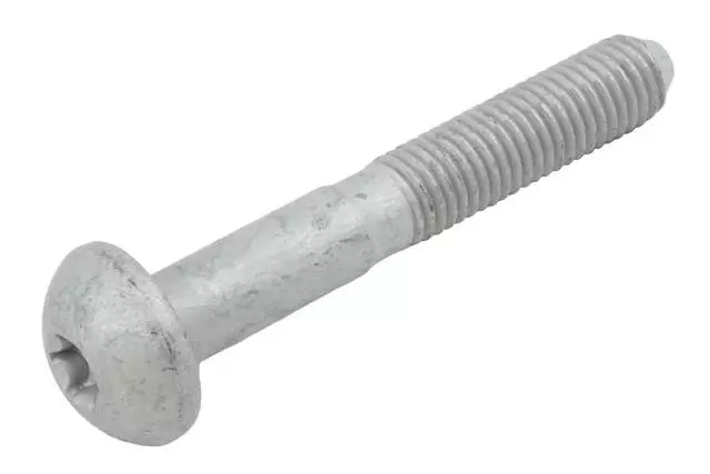 Lower Control Arm Rear Bolt - GM (10295861)