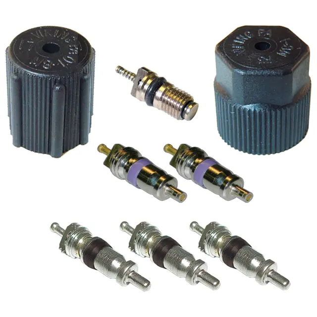 1311683 - Air Conditioning &amp; Heat: A/C System Valve Core and Cap Kit for GLOBAL PARTS DISTRIBUTORS Image