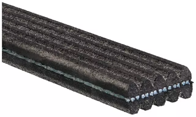 Dual Sided V-Ribbed Serpentine Belt - ACDelco (5DK565)