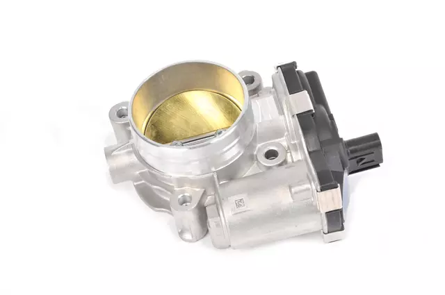 Throttle Body - GM (12670983)