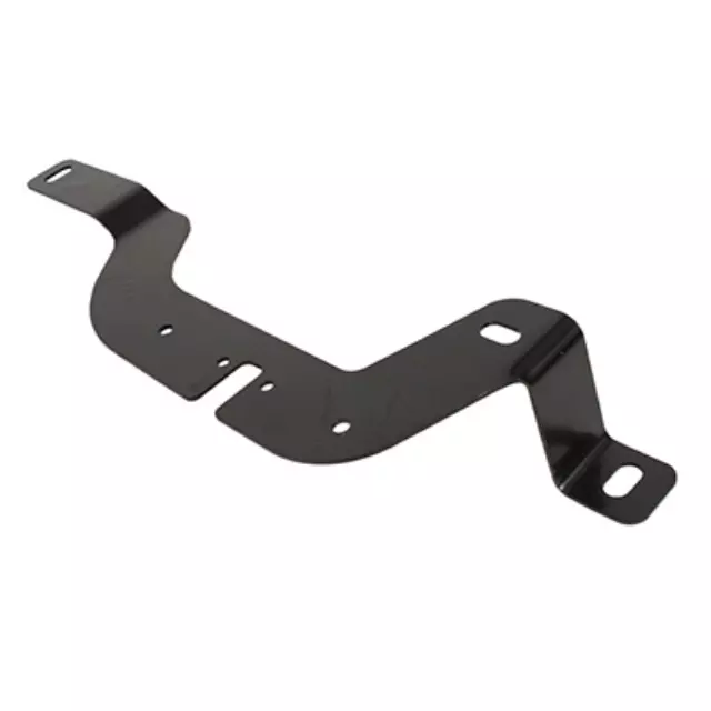 Lamp Assembly Bracket - Ford (DB5Z-15A455-B)