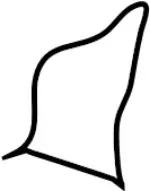 876116SA2A - Body: Seat Back Pad for Infiniti Image