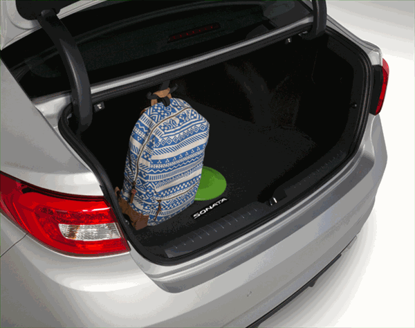 18ADU01 - Interior: Cargo Hook for Hyundai Image