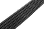 12628027 - : Serpentine Belt for Cadillac: CTS Image