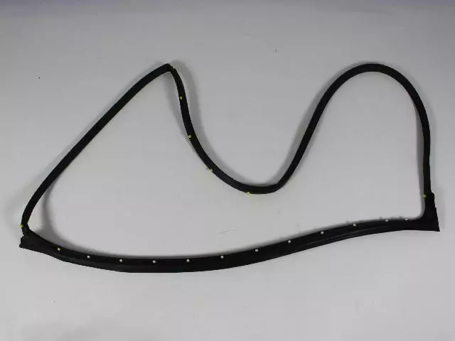 Surround Weather-Strip - Mopar (05065990AE)