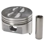 WH273CP30 - : Engine Piston for SEALED POWER Image