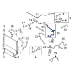 LK4Z8286F - Cooling System: Radiator Coolant Hose for Ford: Transit-150, Transit-250, Transit-350, Transit-350 HD Image