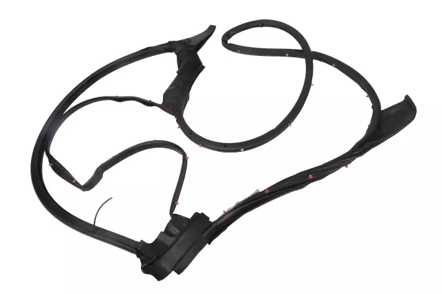 Rear Driver Side Door Weatherstrip - GM (84234301)