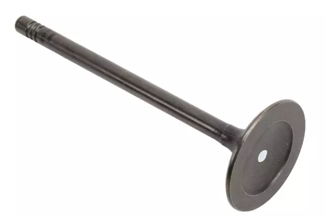 Intake Valve - GM (55563529)