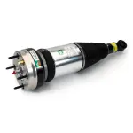 ASE4369 - : Arnott Air Suspension Strut for Arnott Image