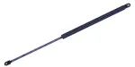 612557 - : Liftgate Lift Support for Tuff Support Image