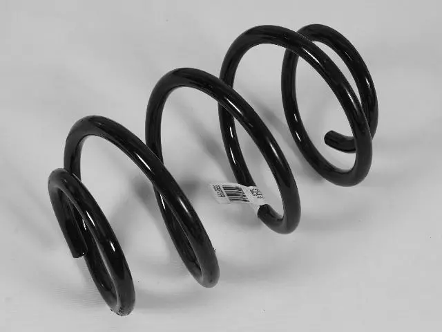 Rear Coil Spring - Mopar (5290773AA)