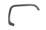 23126047 - : Molding for GM Image