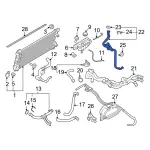 ML3Z8C289L - : Water Inlet Hose for Ford: Expedition | Lincoln: Navigator Image