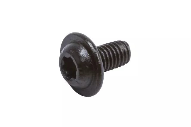 Rear Seat Hinge Cover Bolt - GM (11548049)