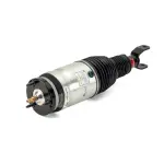 AS3017 - : Arnott Air Suspension Strut for Arnott Image