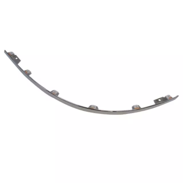 Bumper Trim - Ford (5G1Z-17C829-AAB)